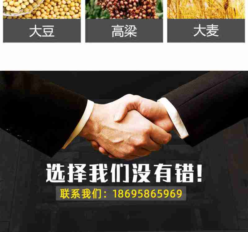 哈尔滨防洪纪念塔广场上演“人从众”