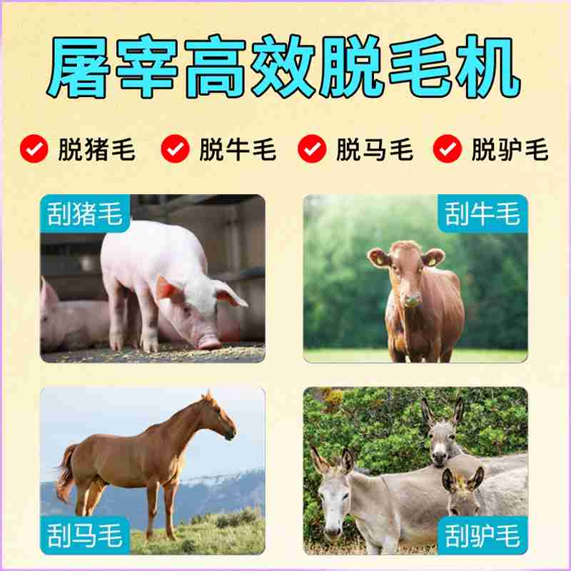 斯梅戴雷沃钢厂的生产车间。(新华社发)